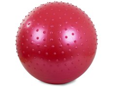 Gymnastická fitness lopta 55 cm cvičebná pumpa