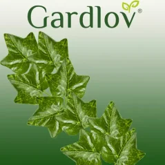 Umelý brečtan - girlanda 50,4 m Gardlov 19737
